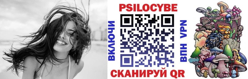закладки Новоуральск Галлюциногенные грибы прущие грибы